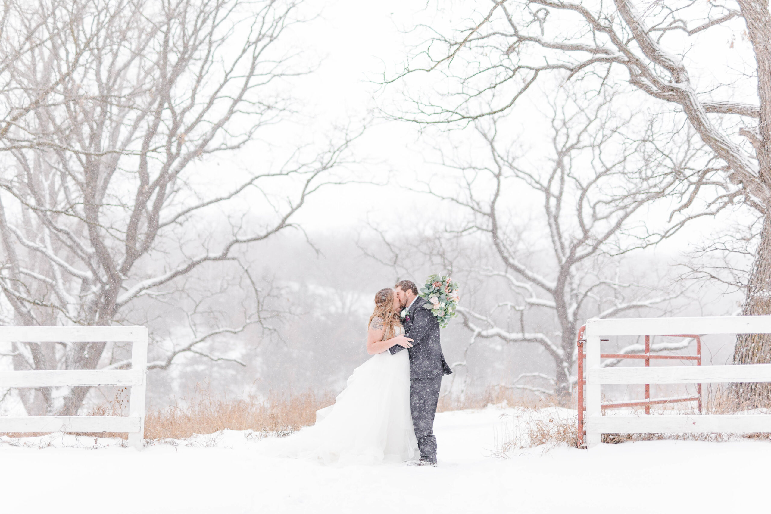 winter wedding at almquist farm in hastings minnesota